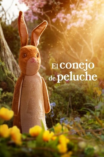 Póster de El conejo de peluche