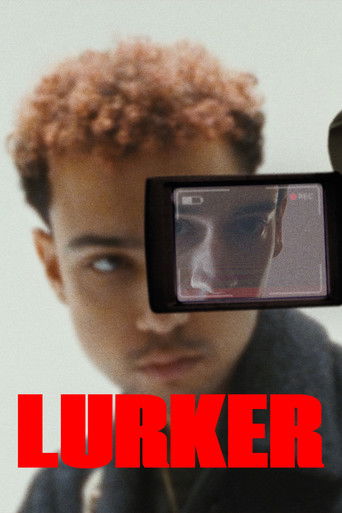 Póster de Lurker