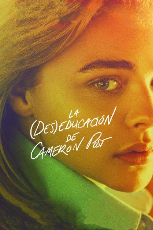 Póster de La mala educación de Cameron Post