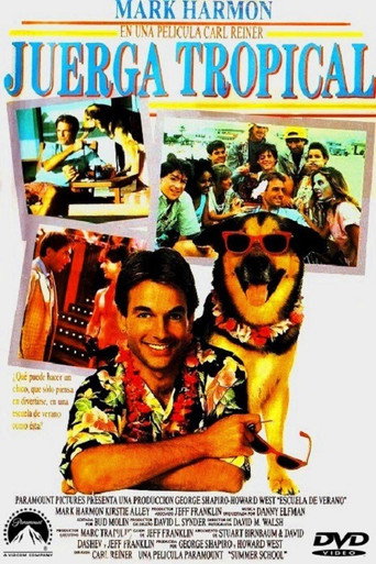Póster de Escuela de verano (Summer School)