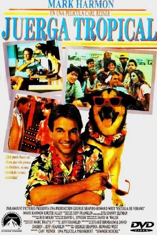 Póster de Escuela de verano (Summer School)