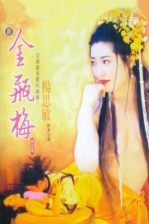 Póster de 新金瓶梅 第四集