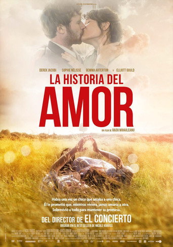 Póster de The History of Love