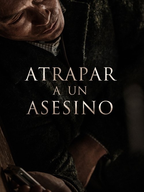 Póster de Atrapar a un asesino