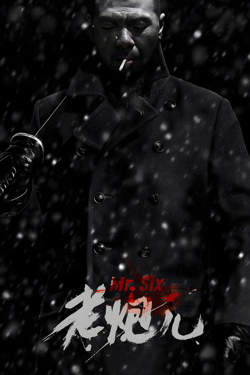 Póster de 老炮儿