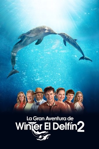 Póster de Winter el Delfín 2