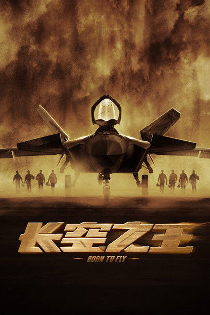 Póster de 长空之王