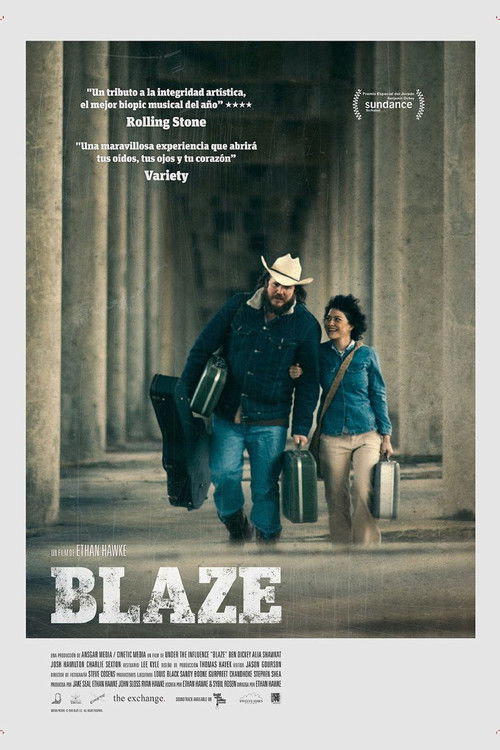 Póster de Blaze
