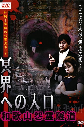 Póster de 壮絶！禁断の心霊スポット 冥界への入口 和歌山怨霊隧道