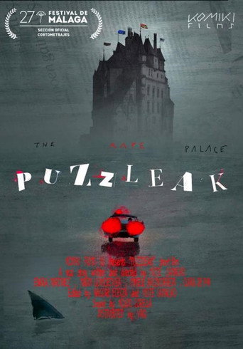 Póster de Puzzleak. Bortxaketaren jauregia