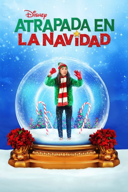 Póster de ¿Navidad otra vez?