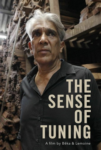 Póster de The Sense of Tuning