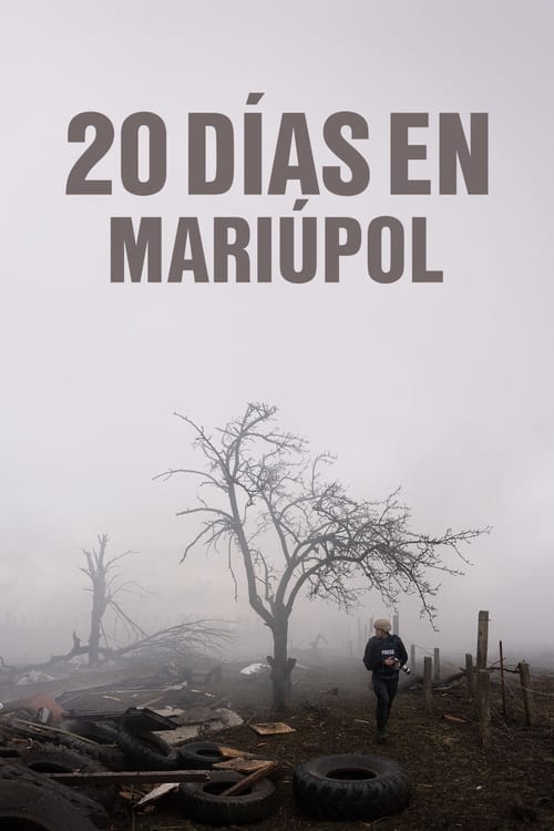 Póster de 20 Días en Mariúpol
