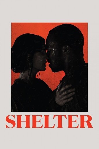 Póster de Shelter