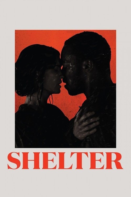 Póster de Shelter