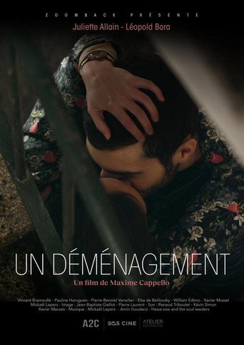 Póster de Un déménagement