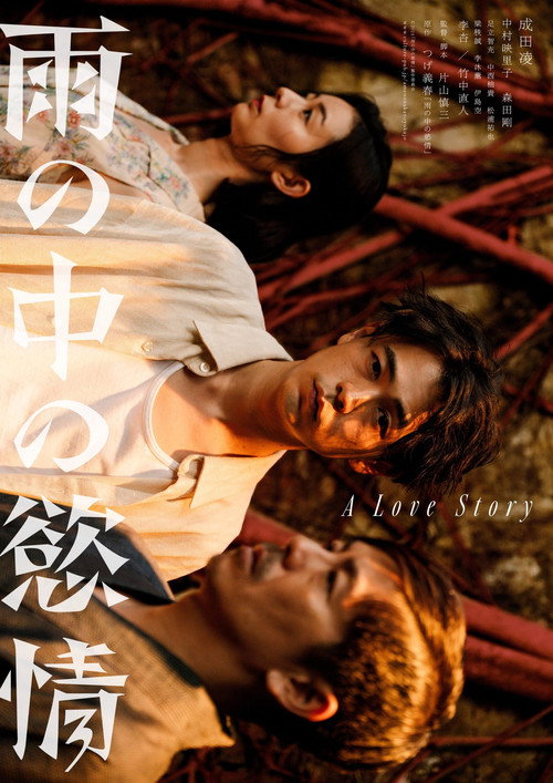 Póster de 雨の中の慾情