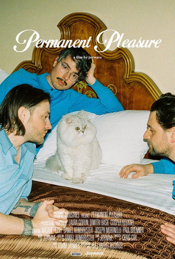 Póster de Permanent Pleasure