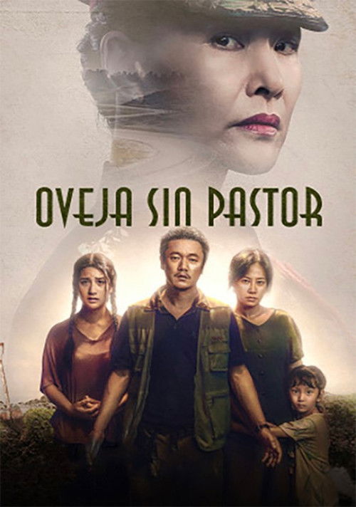 Póster de 误杀