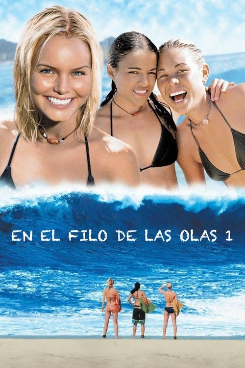 Póster de Olas salvajes