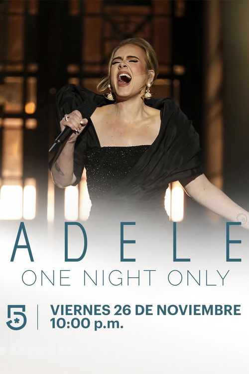 Póster de Una noche con Adele