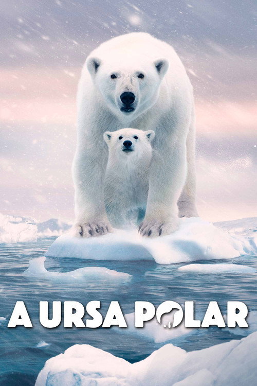Póster de Osa Polar