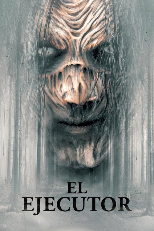Póster de El ejecutor