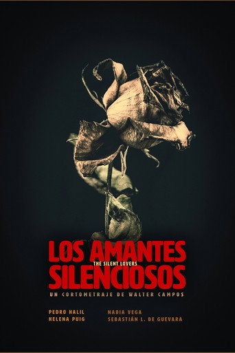 Póster de Los amantes silenciosos