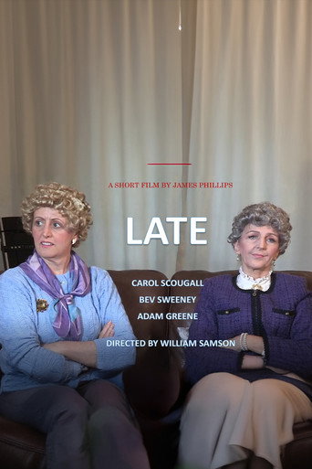 Póster de Late