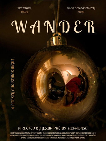 Póster de WANDER