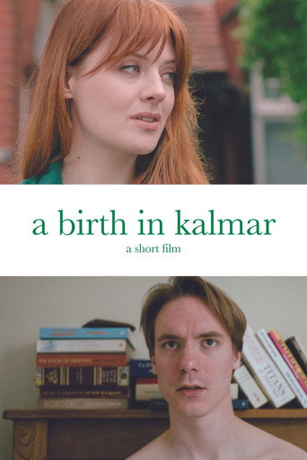 Póster de A Birth in Kalmar