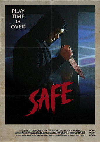Póster de Safe