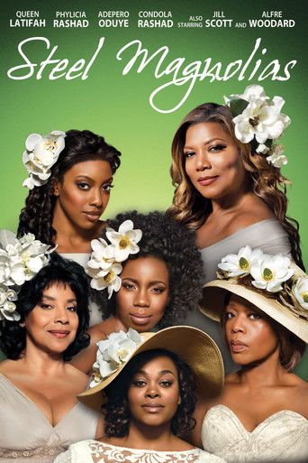 Póster de Steel Magnolias