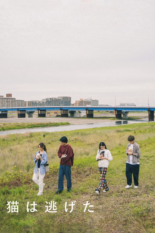 Póster de 猫は逃げた