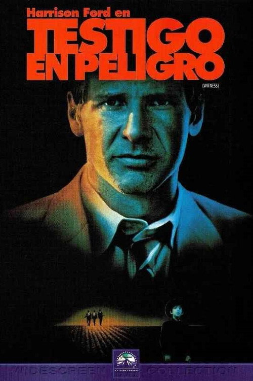 Póster de Testigo en peligro