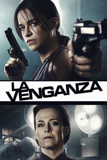 Póster de La venganza