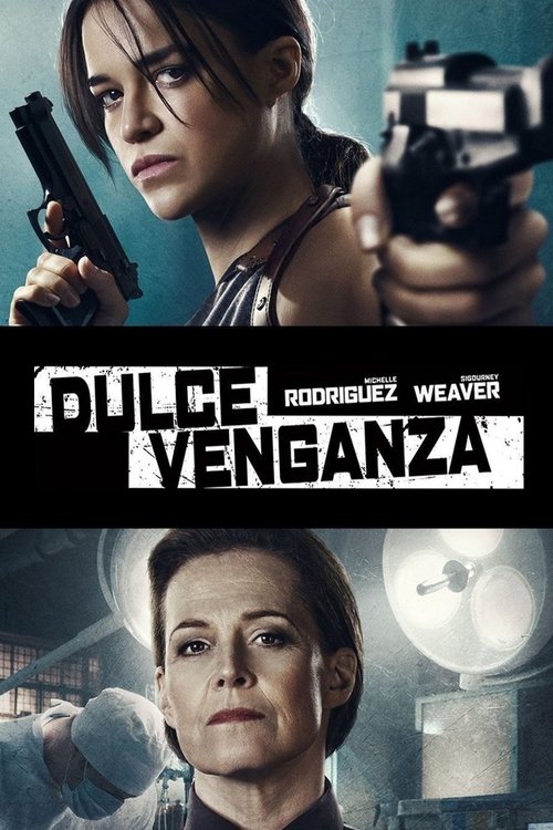 Póster de La venganza