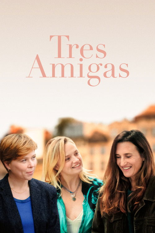 Póster de Trois amies