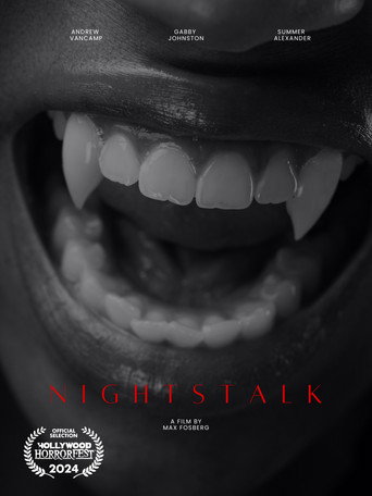 Póster de Nightstalk