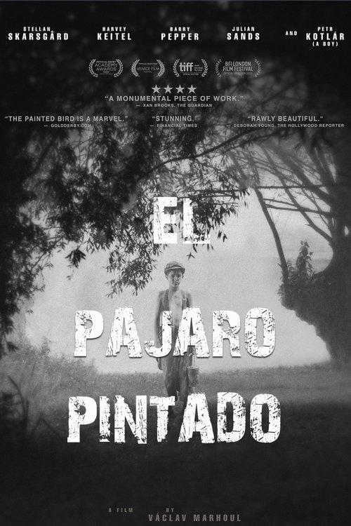 Póster de The Painted Bird