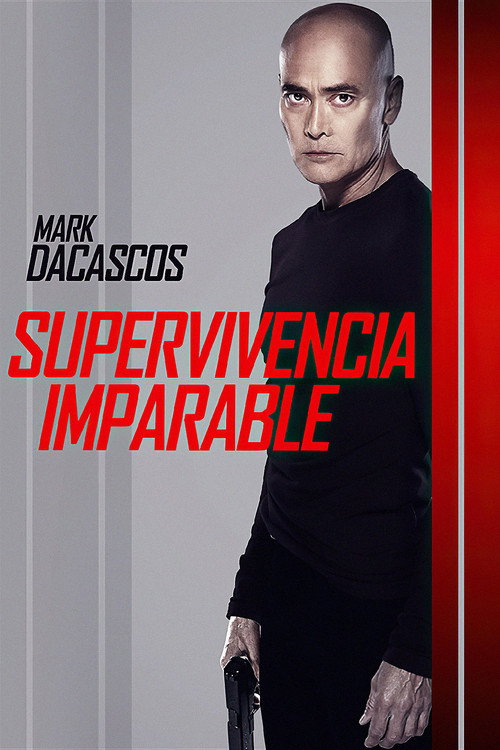 Póster de El Conductor
