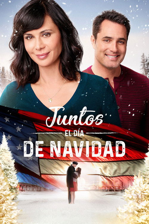 Póster de Home for Christmas Day