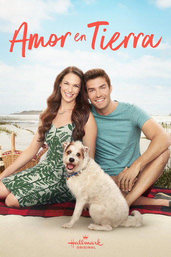 Póster de Love at the Shore