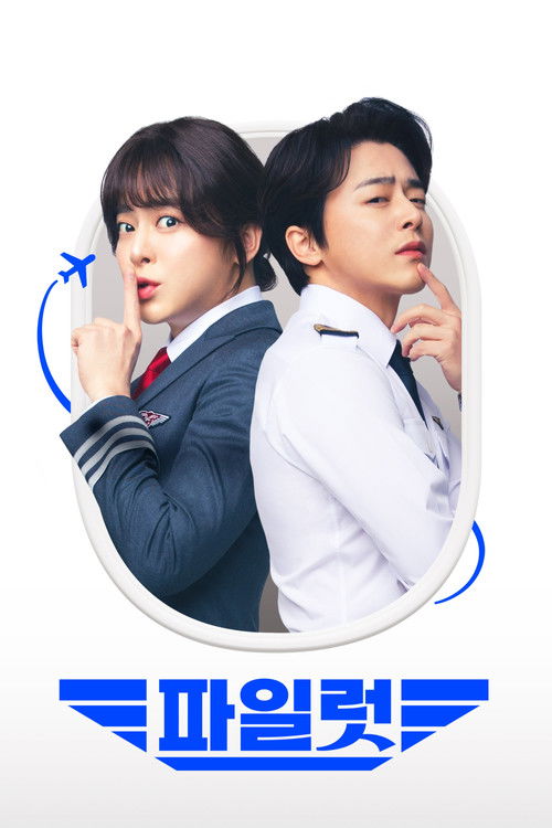 Póster de 파일럿