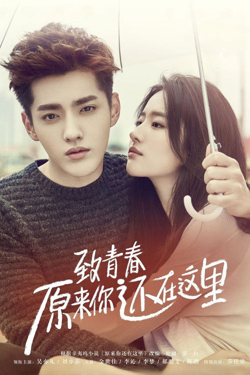 Póster de 致青春·原来你还在这里