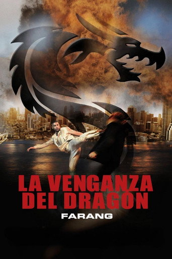Póster de La Venganza del Dragón