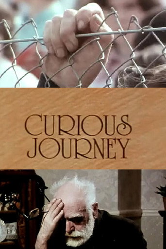 Póster de Curious Journey