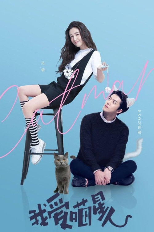 Póster de 我爱喵星人