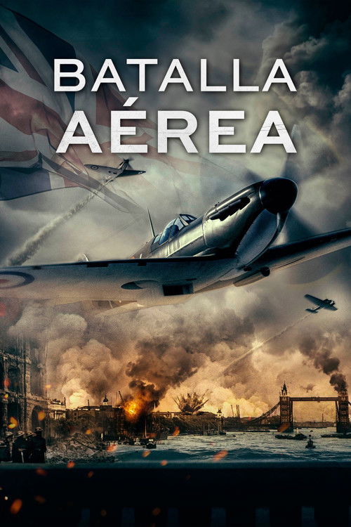 Póster de Batalla aérea