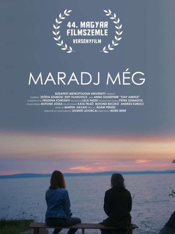 Póster de Maradj még